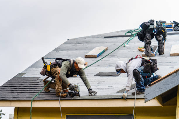 Professional Emergency Roof Repair technician working in Saint Paul Park, MN